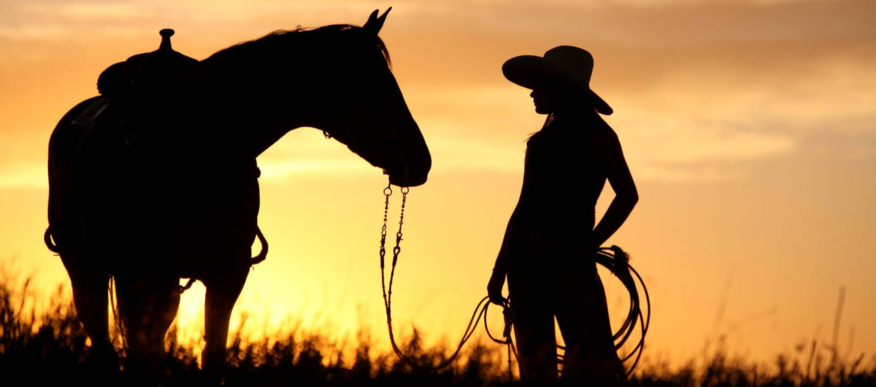 Silhouetted cowgirl with a lasso standing beside her horse during a golden prairie sunset, representing the shared Western heritage of Alberta and Mexico.