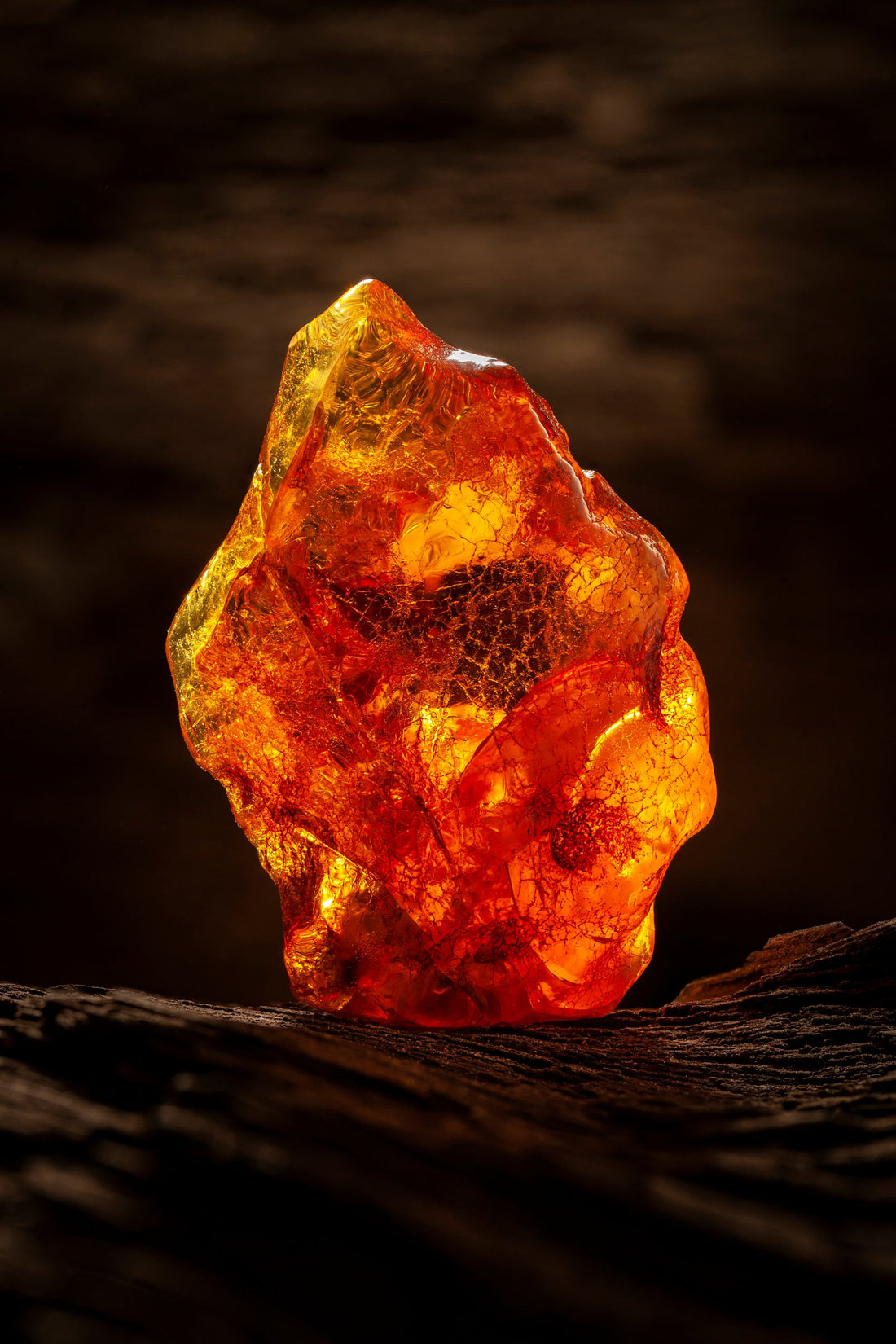 Amber Jewelry Nueve Sterling