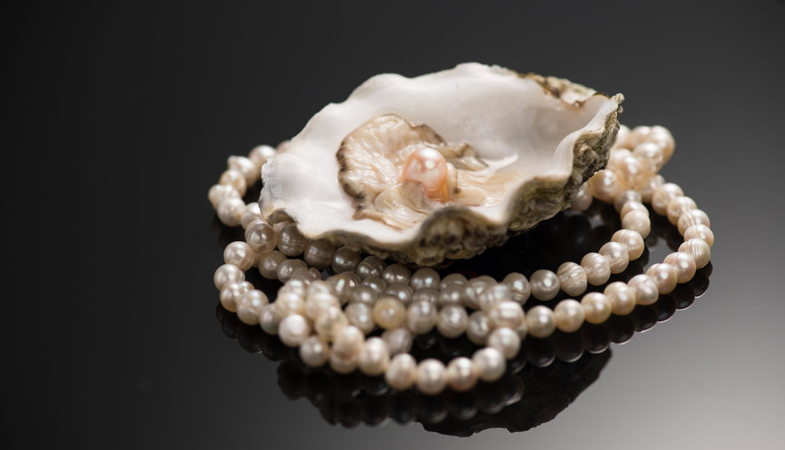 Shells and Pearls Silver Jewelry Nueve Sterling