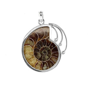 Ammonite Silver Pendant - Nueve Sterling