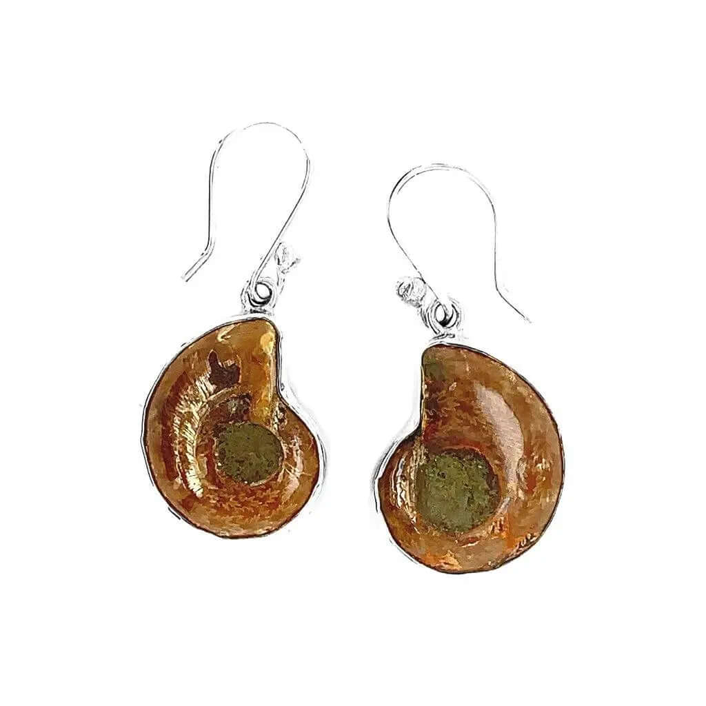 Silver Earrings with Ammonite back - Nueve Sterling